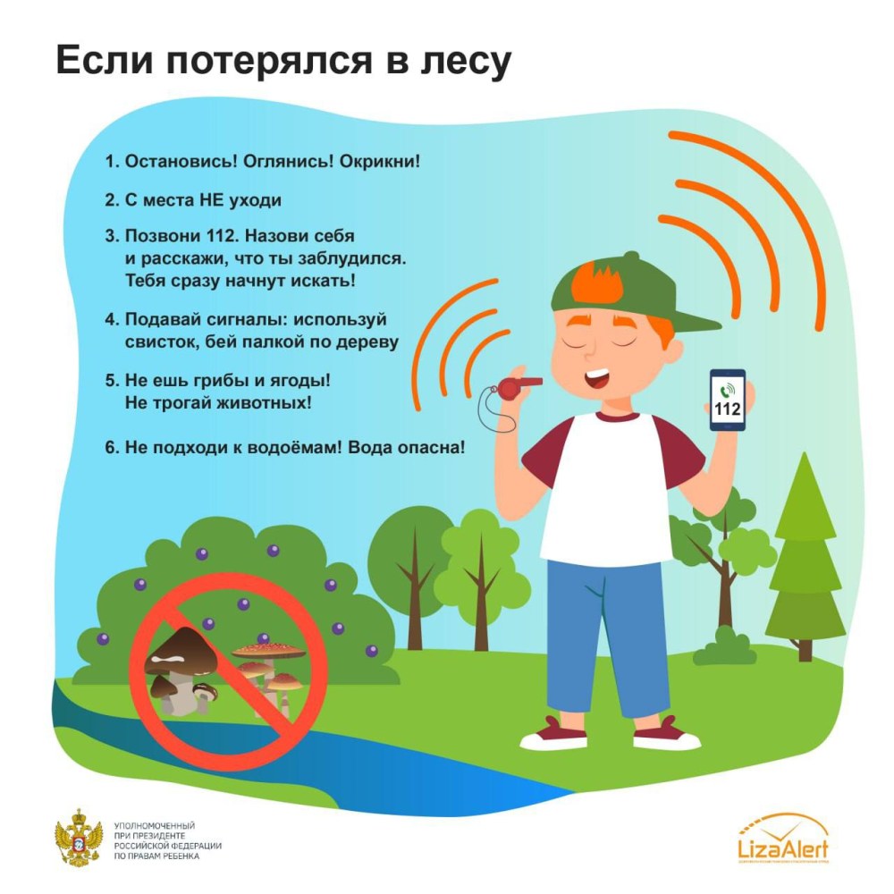 Изображения.