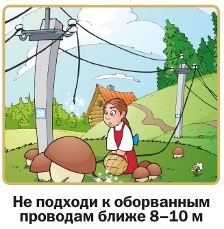Изображения.